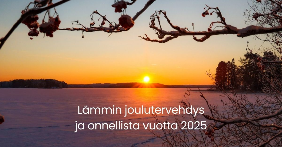 Talvimaisema_Lannevesi