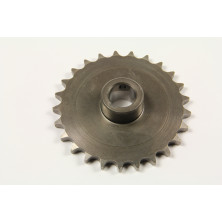 Chain wheel Z25